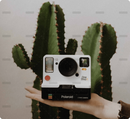 demo-attachment-856-portfolio-8-img